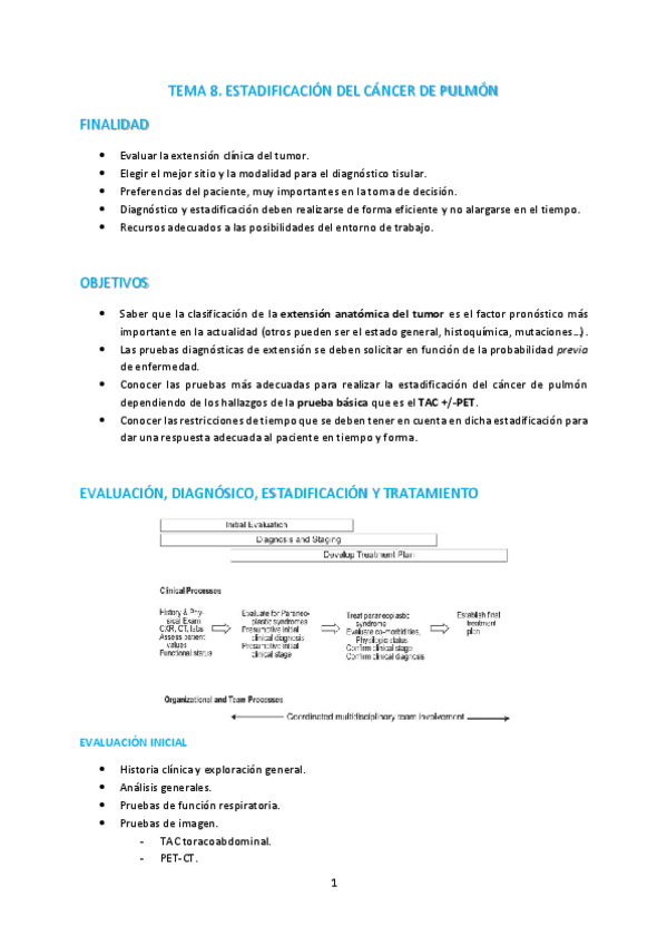 Miniatura del documento T8-Estadificacion-del-cancer-de-pulmon.pdf