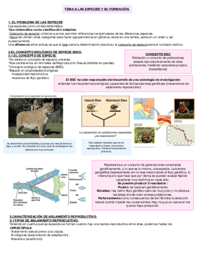 Miniatura del documento TEMA-8-LAS-ESPECIES-Y-SU-FORMACION.pdf