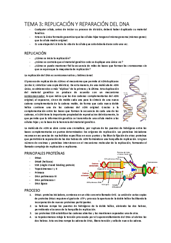 Miniatura del documento TEMA-3.pdf