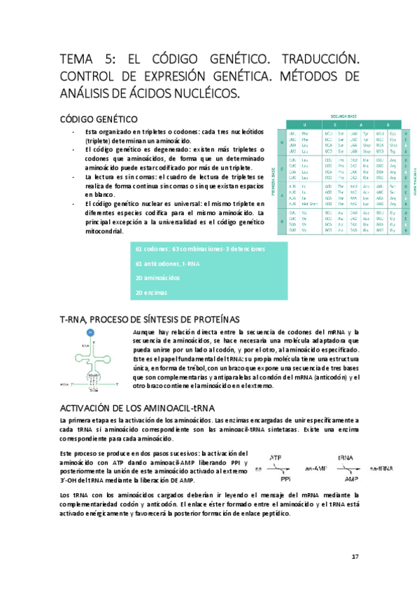 Miniatura del documento TEMA-5.pdf