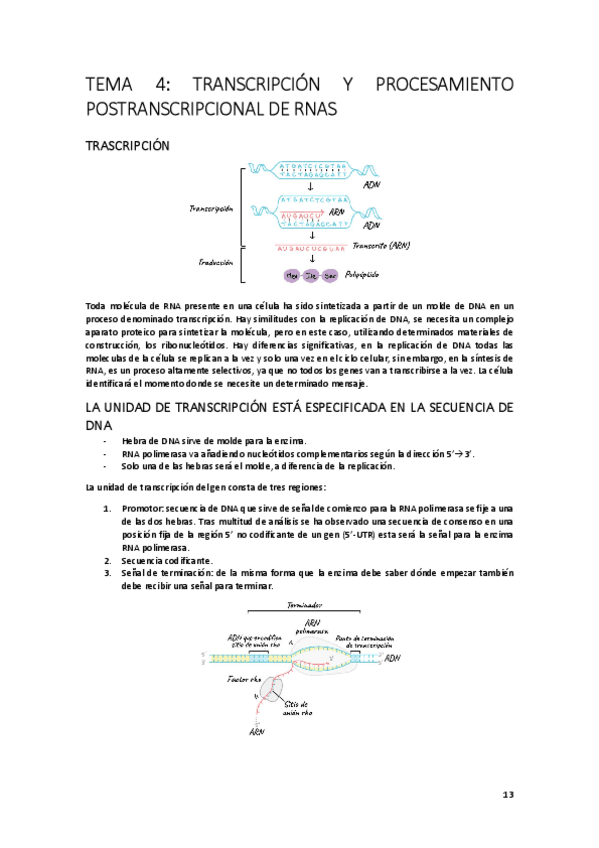Miniatura del documento TEMA-4.pdf