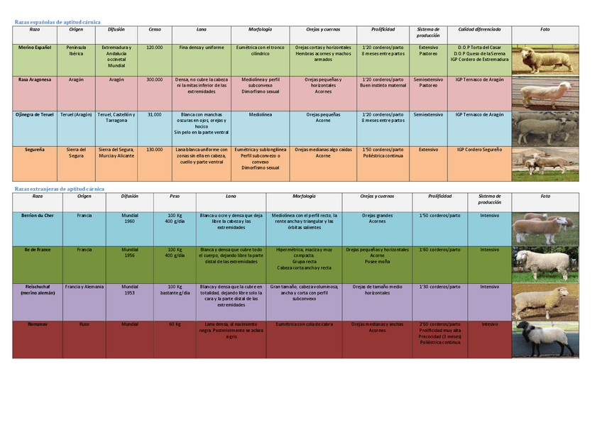 Miniatura del documento Ovino.pdf