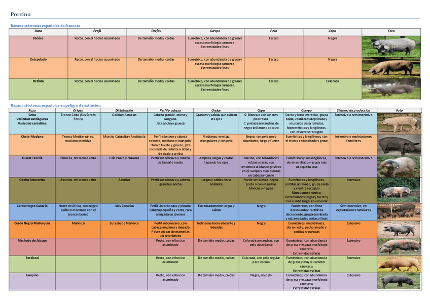 Miniatura del documento Porcino.pdf