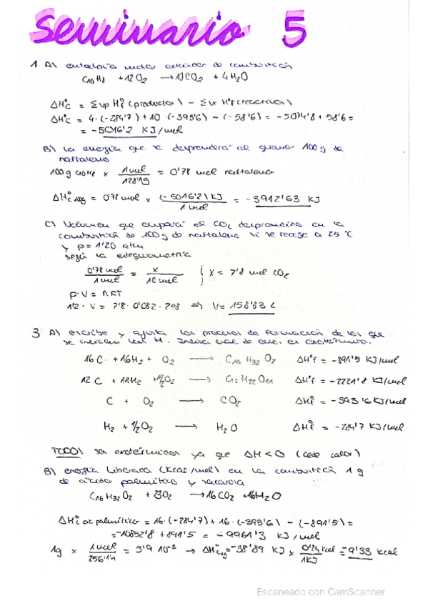 Miniatura del documento seminario-tema-5.pdf