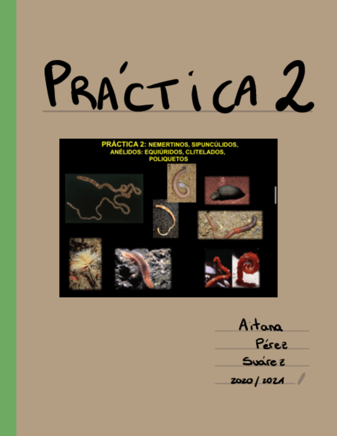 Miniatura del documento Practica-2-Muestras.pdf