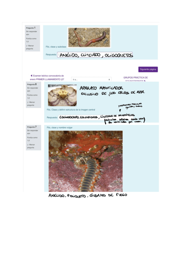 Miniatura del documento PRACTICAS-ZOO1.pdf