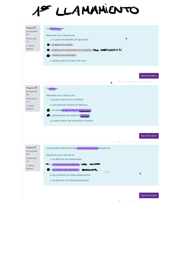 Miniatura del documento TEORIA-ZOO1.pdf