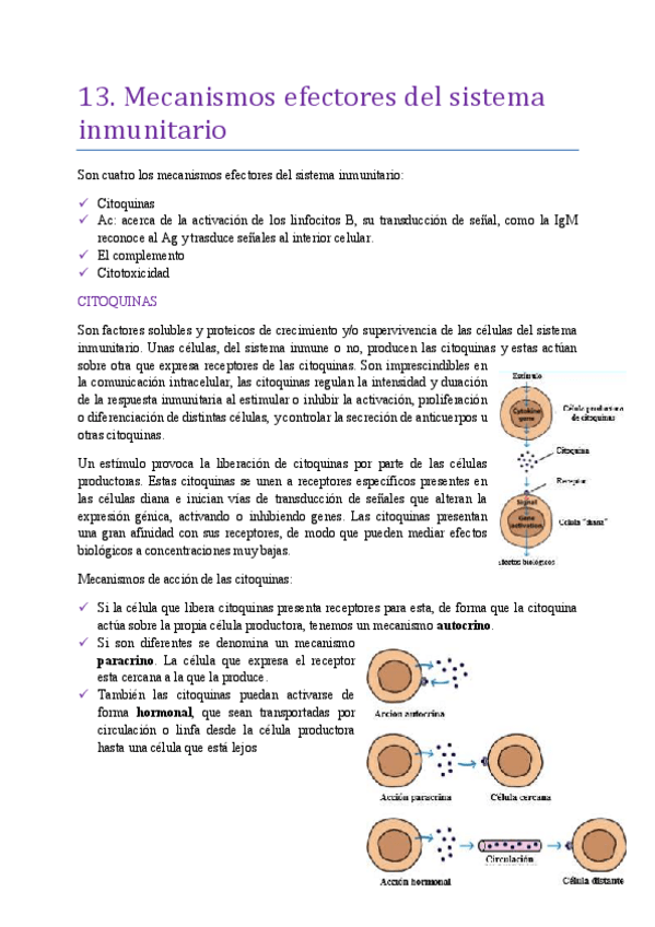 Miniatura del documento tema-13-efectores-del-sistema-inmunitario.pdf