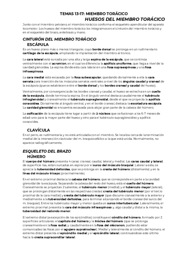 Miniatura del documento TEMAS-13-17-MIEMBRO-TORACICO.pdf