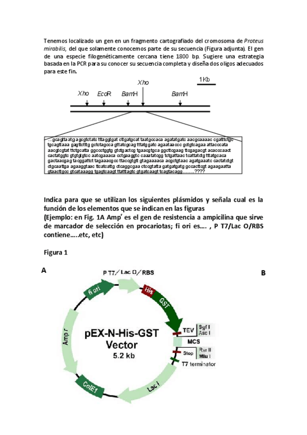 Miniatura del documento Algunos-problemas-de-examenes.pdf