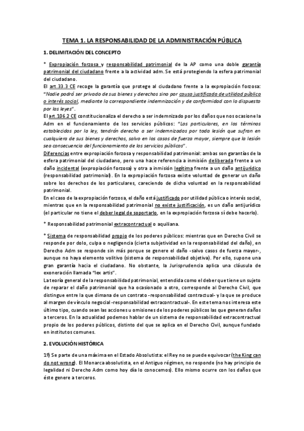 Miniatura del documento T.1 ADM II.pdf