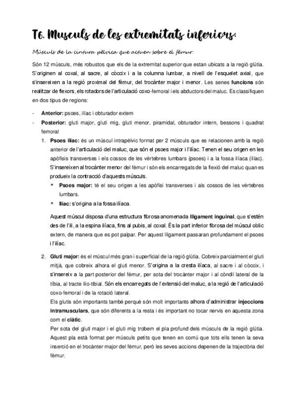 Miniatura del documento Musculs-extremitats-inferiors.pdf