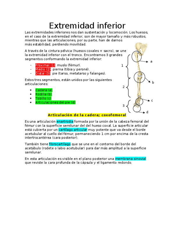 Miniatura del documento APUNTES-ANATOMIA-I-6.docx