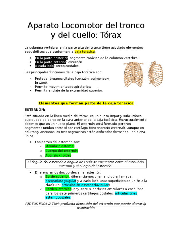 Miniatura del documento APUNTES-ANATOMIA-I-3.docx