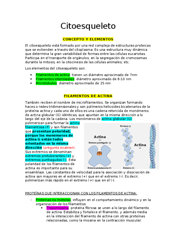Miniatura del documento APUNTES-CITOLOGIA-E-HISTOLOGIA-10.docx