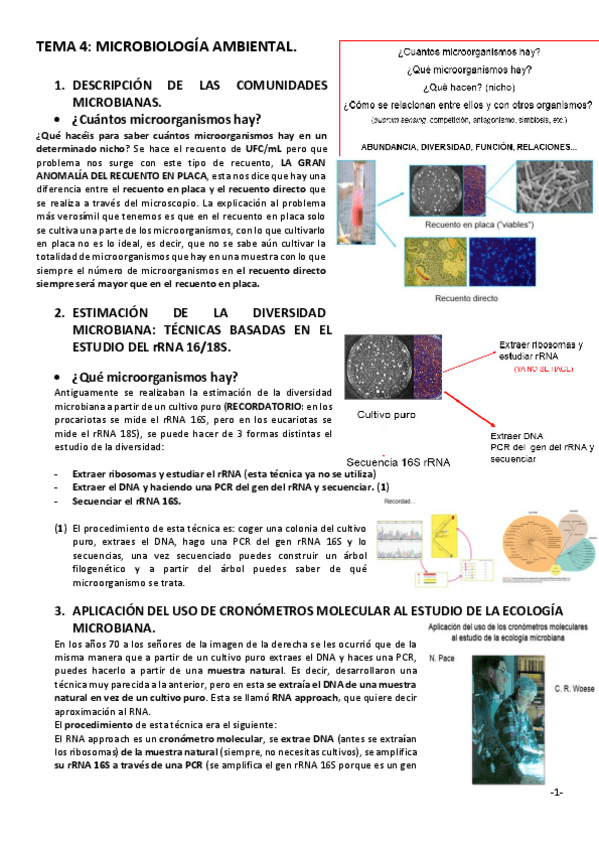 Miniatura del documento TEMA-4.pdf