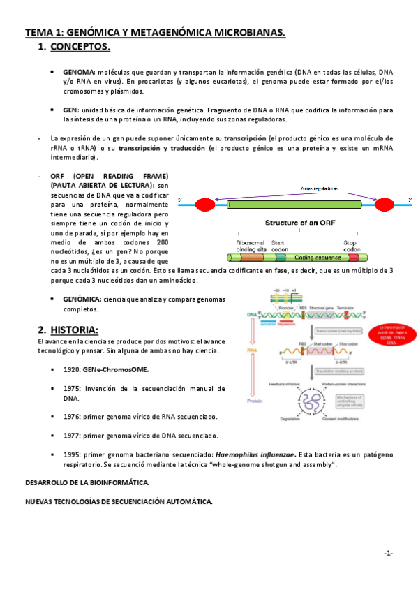 Miniatura del documento TEMA-1.pdf
