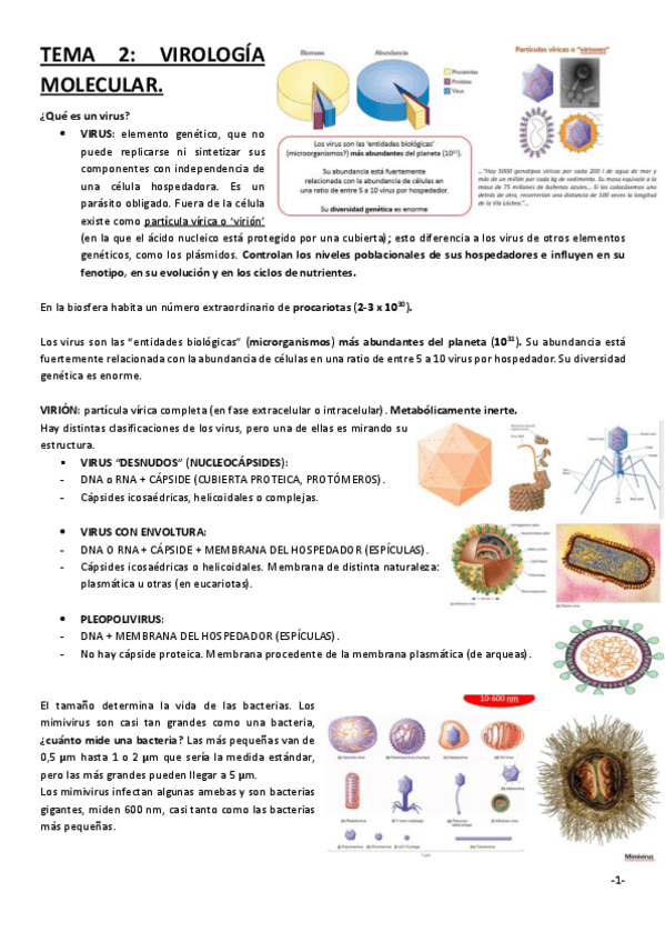 Miniatura del documento TEMA-2.pdf