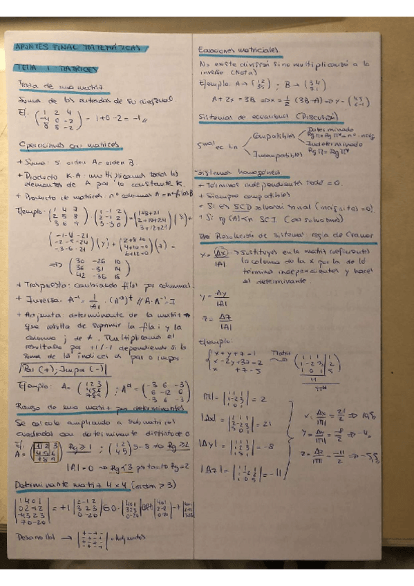 Miniatura del documento tema-1.pdf