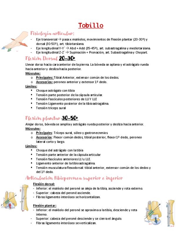 Miniatura del documento Tobillo.pdf