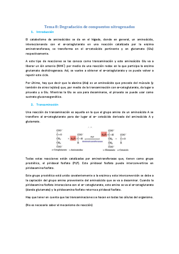 Miniatura del documento Tema 8.pdf