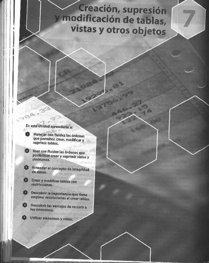 Miniatura del documento capitulo-7.pdf