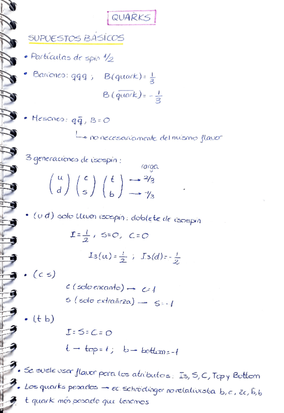 Miniatura del documento Quarks-y-estados-ligados-de-quarks.pdf