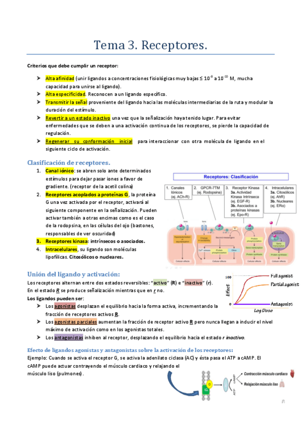 Miniatura del documento Tema-3.pdf