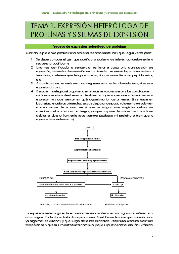 Miniatura del documento Tema-1.pdf