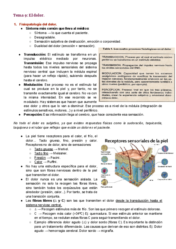 Miniatura del documento Tema-9-.pdf