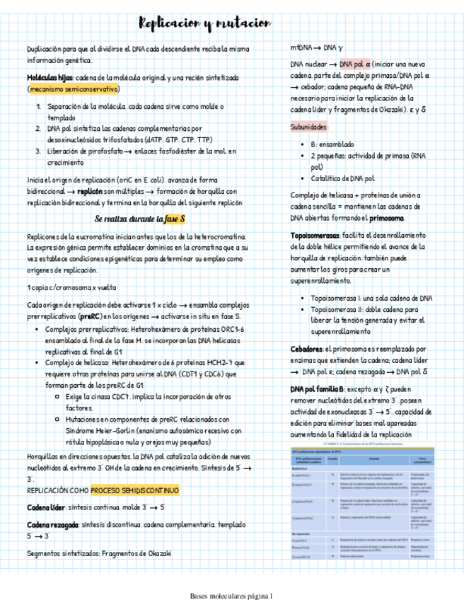 Miniatura del documento Replicacion-transcripcion-y-traduccion.pdf