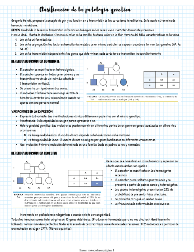 Miniatura del documento Patologia-genetica.pdf