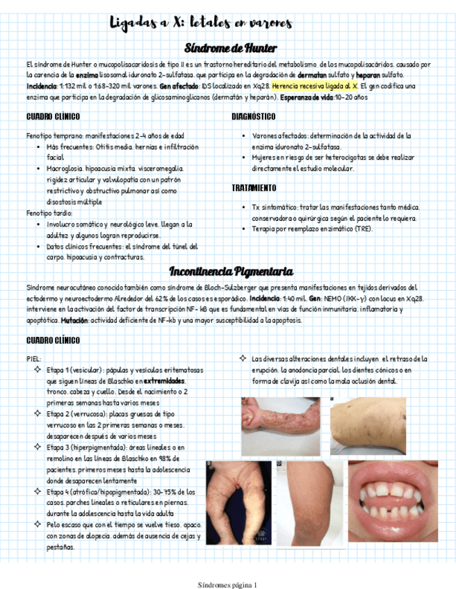 Miniatura del documento Sx-ligadas-a-X.pdf