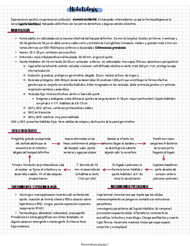 Miniatura del documento Hidatidosis.pdf