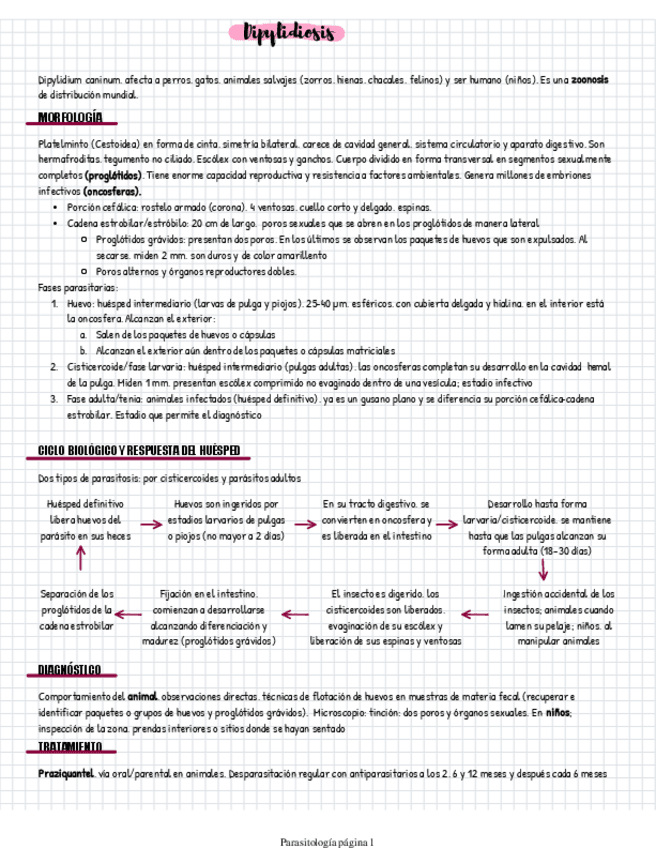 Miniatura del documento Dipylidiosis.pdf