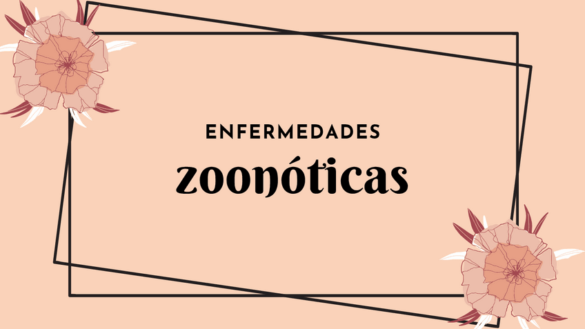 Miniatura del documento HNEQUEZADA-SANCHEZ-RAQUEL-ITZEL-40-50.pdf