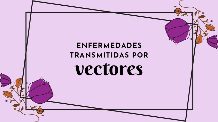 Miniatura del documento HNEQUEZADA-SANCHEZ-RAQUEL-ITZEL-51-57.pdf