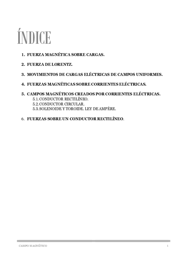 Miniatura del documento Campo-magnetico.pdf