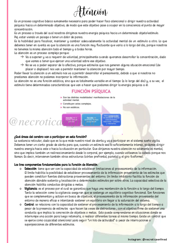 Miniatura del documento Atencion.pdf