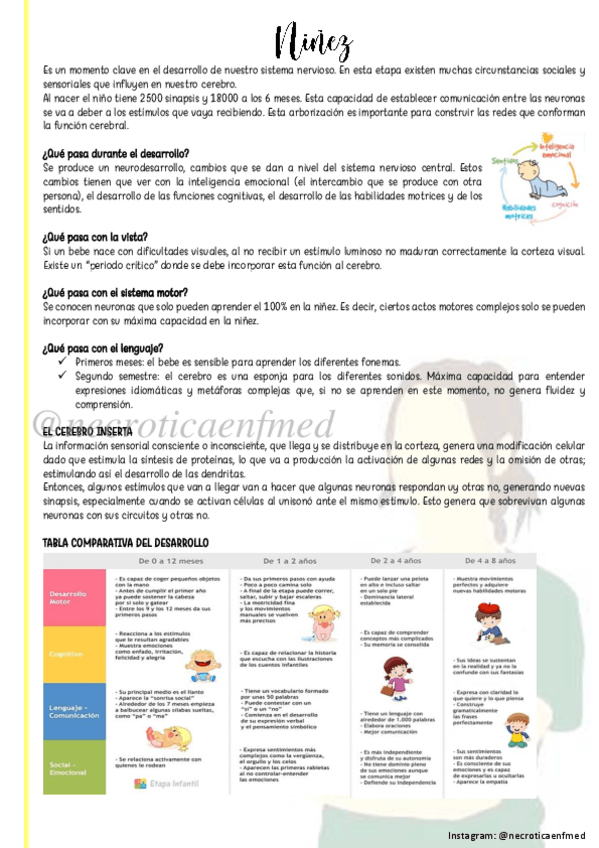 Miniatura del documento Ninez.pdf