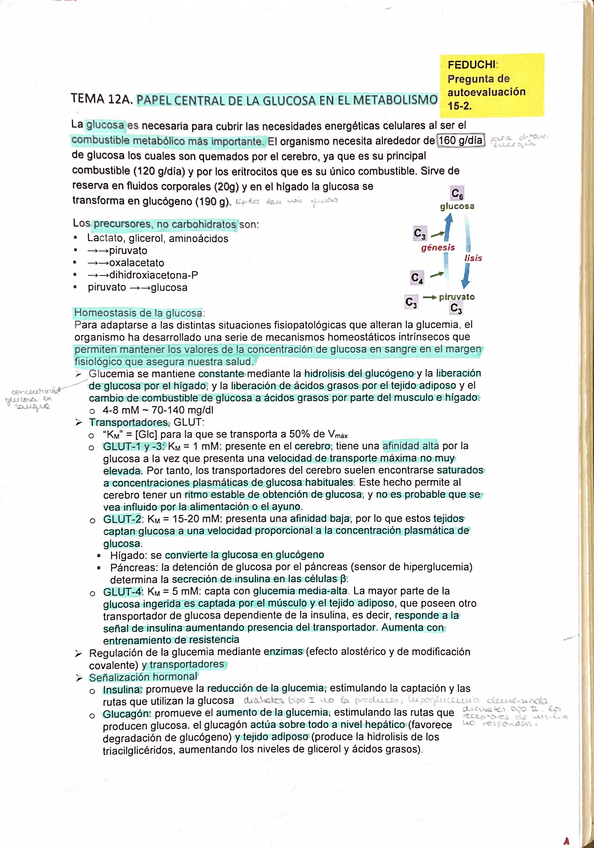 Miniatura del documento Tema-12A.pdf