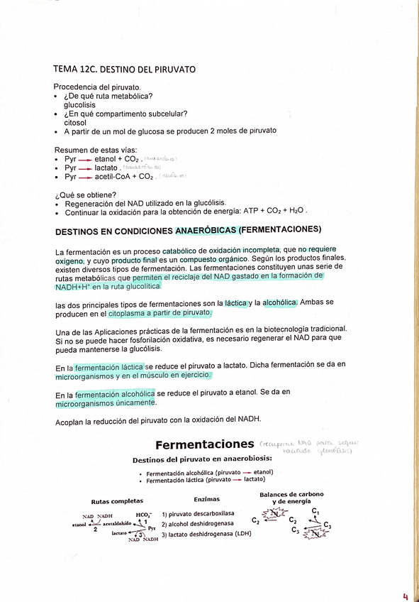 Miniatura del documento Tema-12C.pdf