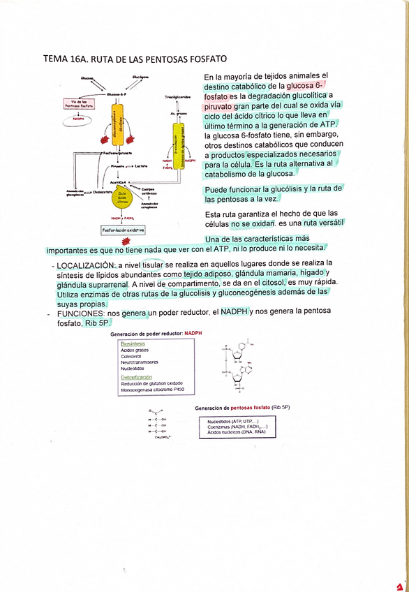 Miniatura del documento Tema-16A.pdf