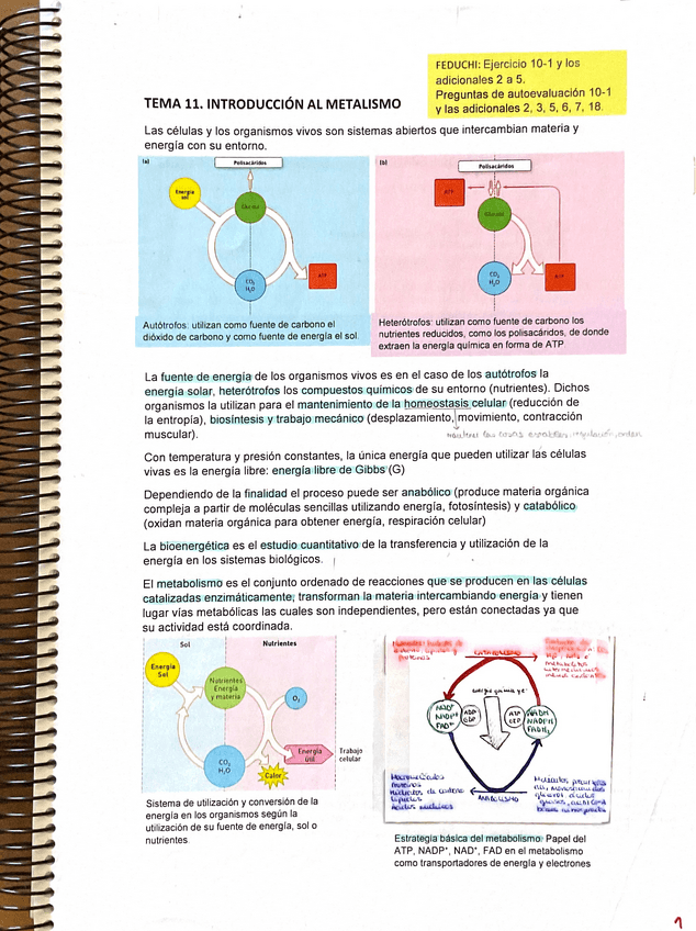 Miniatura del documento Tema-11.pdf