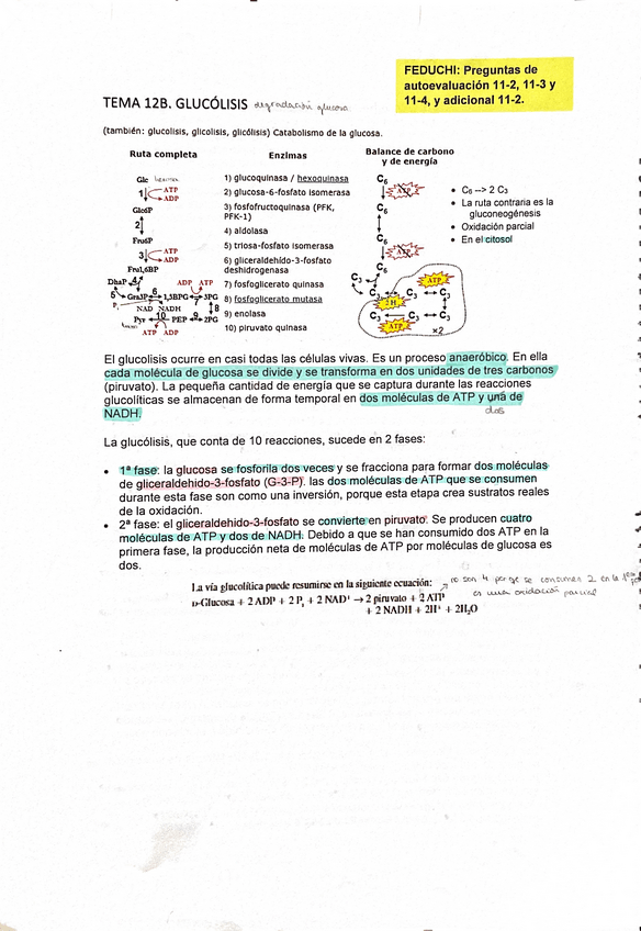 Miniatura del documento Tema-12B.pdf
