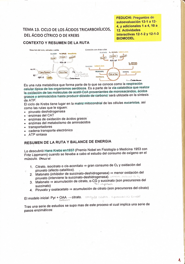 Miniatura del documento Tema-13.pdf
