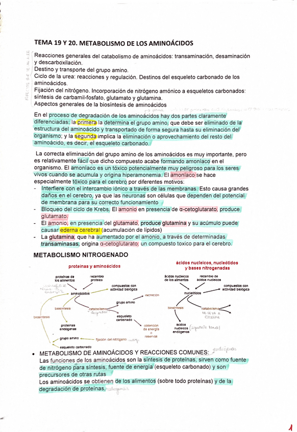 Miniatura del documento tema-19-y-20.pdf