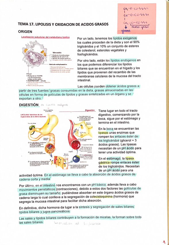 Miniatura del documento tema-17.pdf