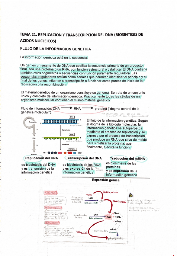 Miniatura del documento Tema-22.pdf