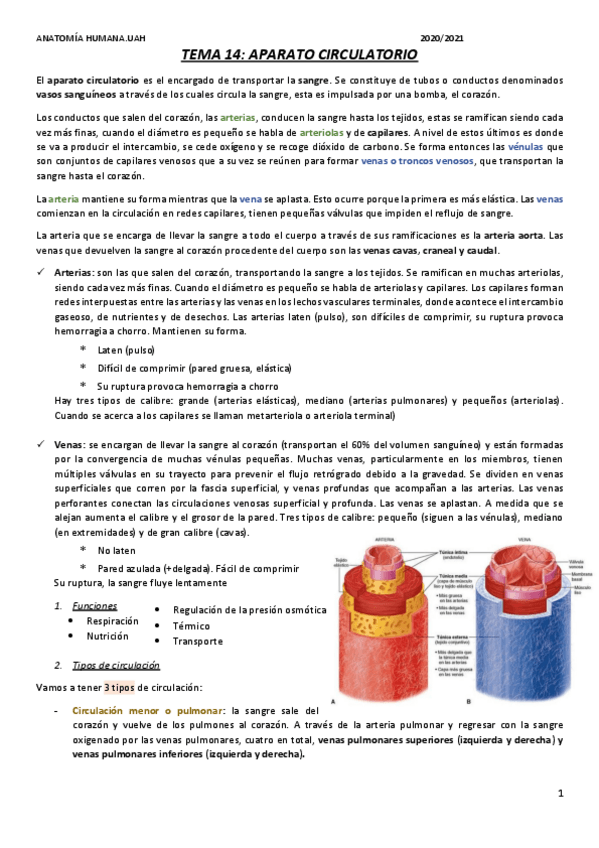 Miniatura del documento TEMA-15-25.pdf